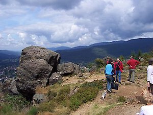 Die Schmalzler - Bayerischer Wald